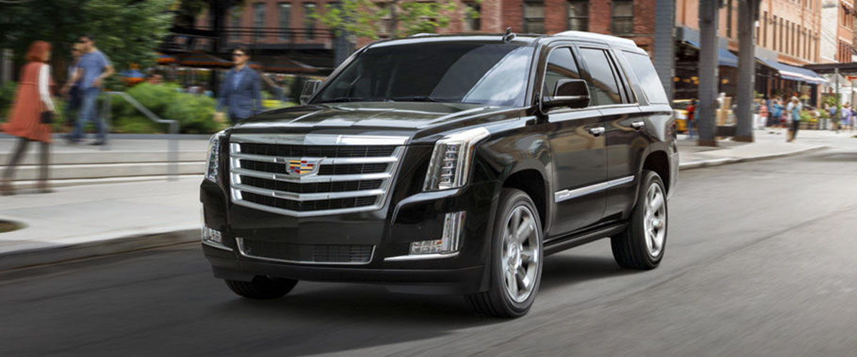 2019 Cadillac Escalade For Sale Cadillac Escalade Lease