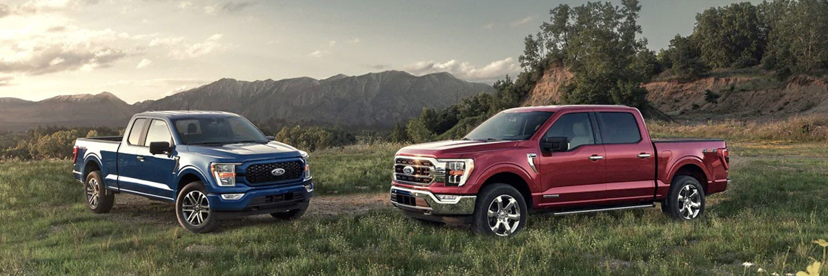 Two Ford F-150s parked on the grass