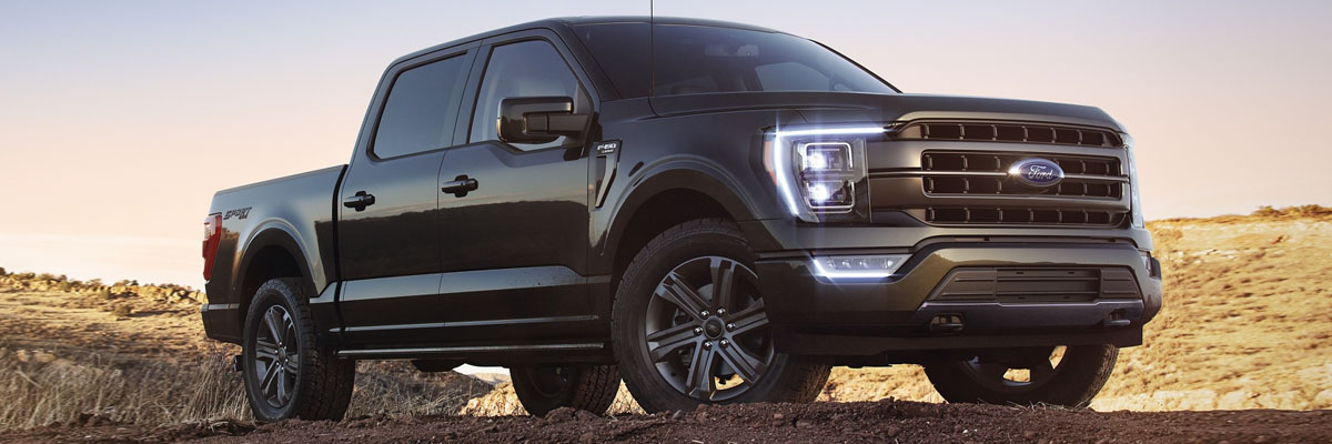 Ford F-150 Desert Scene