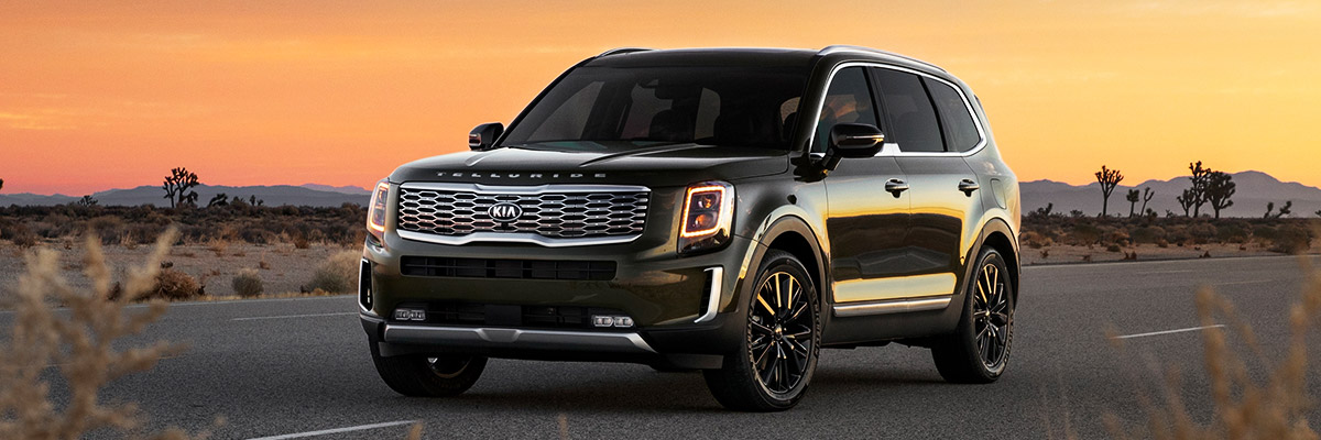 Kia Telluride on desert road. Profile view.