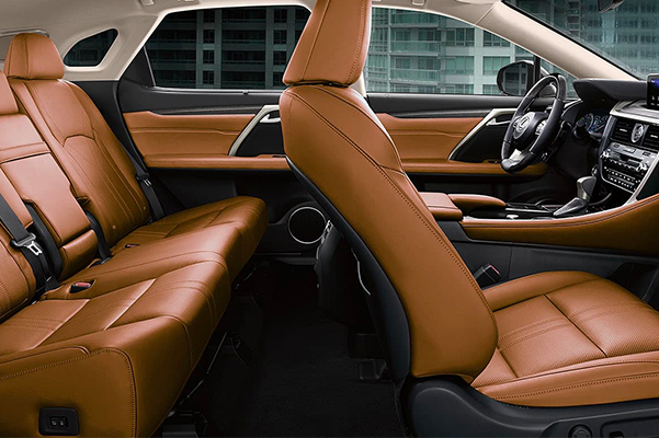 2021 Lexus RX interior side view