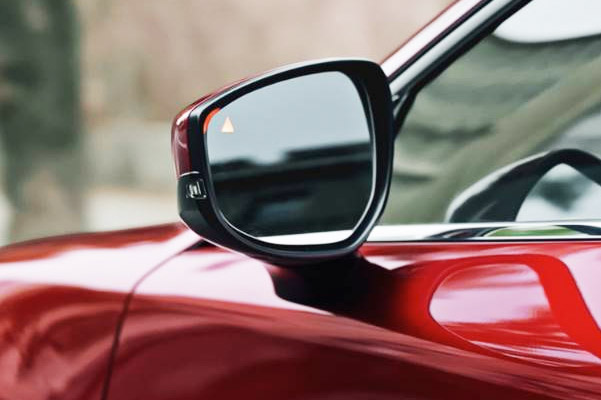 View of side mirror showing blind spot display