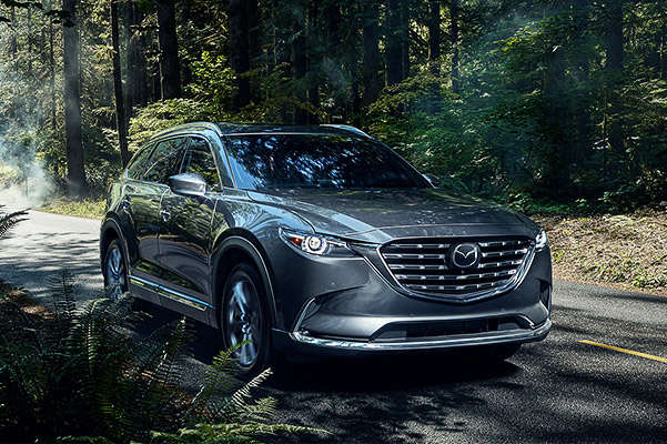machine gray metallic CX-9 on a side road in the woods