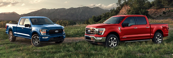 Two 2022 Ford F-150s parked in a field