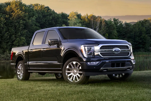A Ford F-150 parked on grass at sunset.