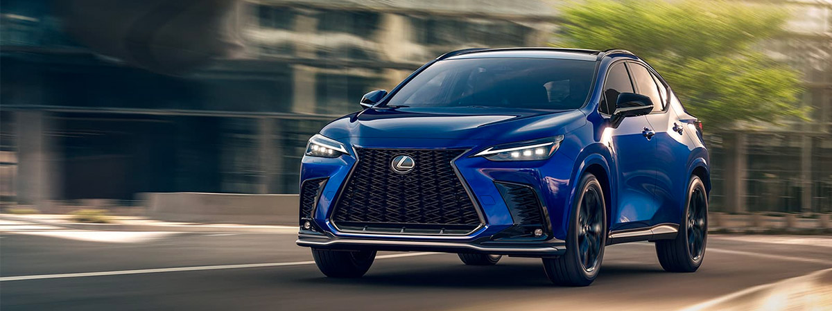  in the new 2022 Lexus NX driving down a scenic highway