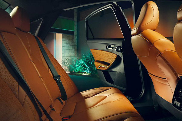 Back seats of the 2022 Toyota Avalon with the door opened