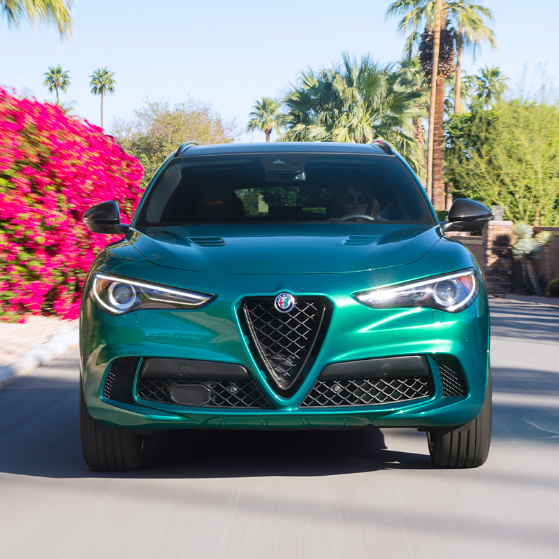 2023 Stelvio Quadrifoglio in Verde Montreal, driving on paved road past palm trees and flower bushes on a clear sunny day.