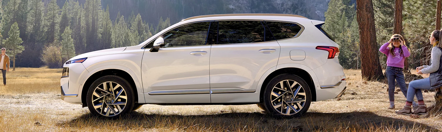 Side shot of 2023 Hyundai Santa Fe parked on grass
