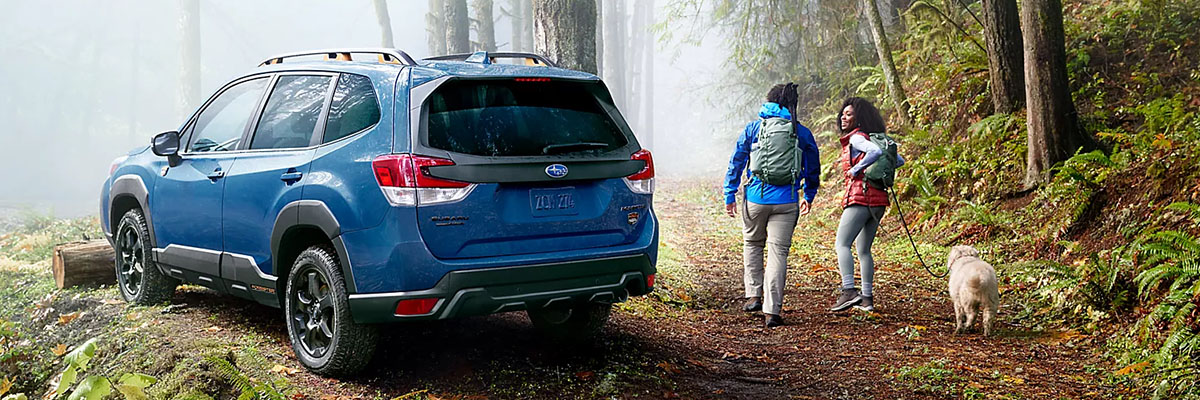 Couple walking dog next to parked blue 2023 off-road Subaru Forester Wilderness