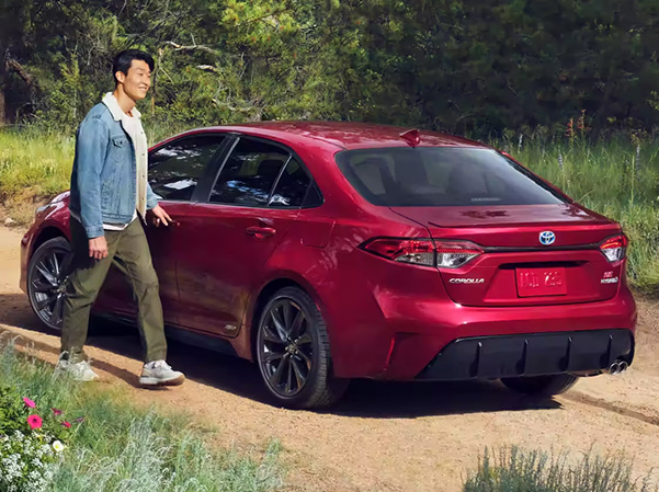 Rear view of 2023 Toyota Corolla with man about to open driver's side door