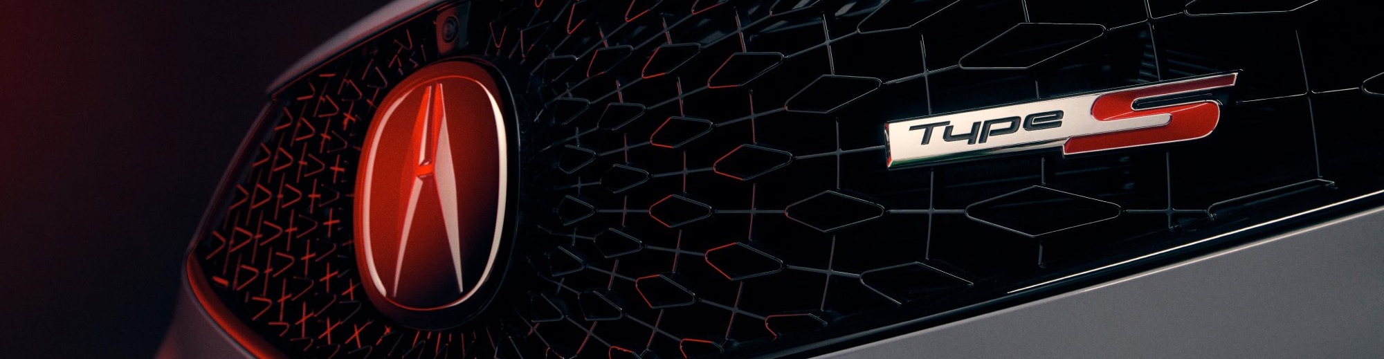 Acura TLX Type S Grille detail