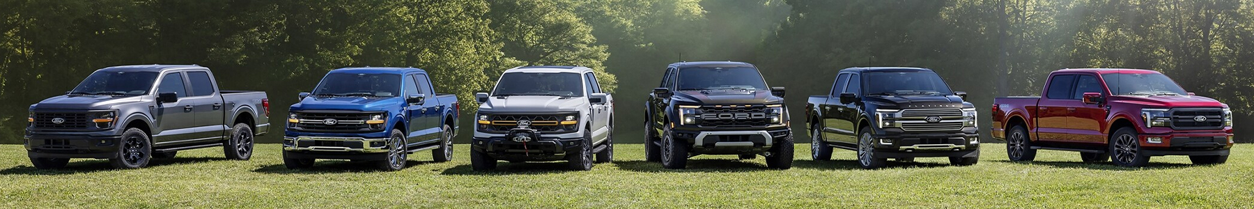 Ford F-150 Lineup