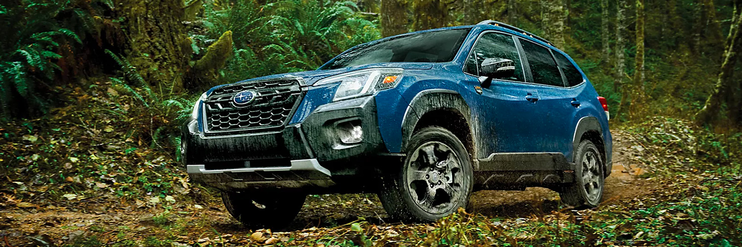 A 2024 Subaru Forester Wilderness SUV parked in the forest