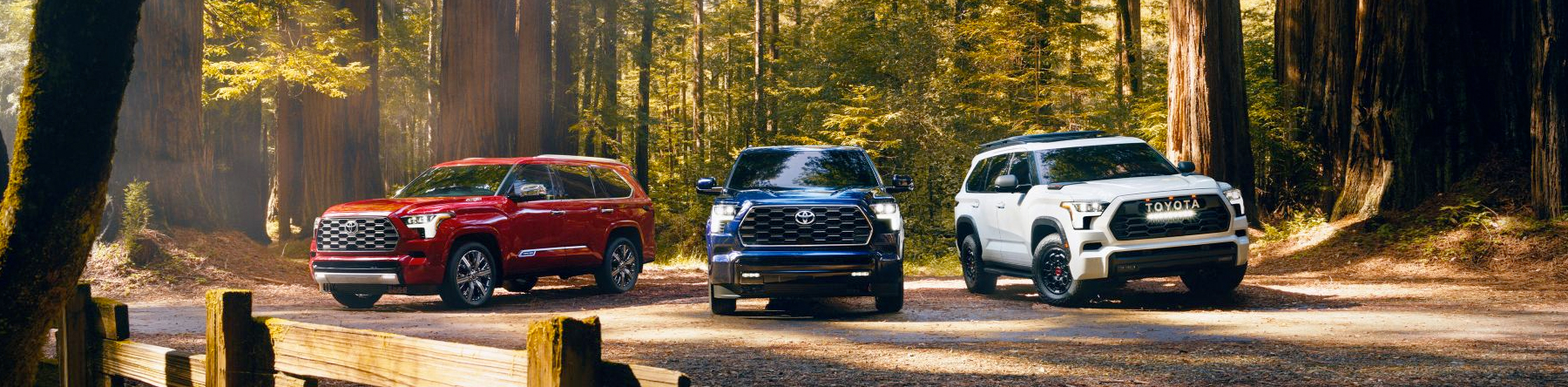 Sequoia SUV Lineup