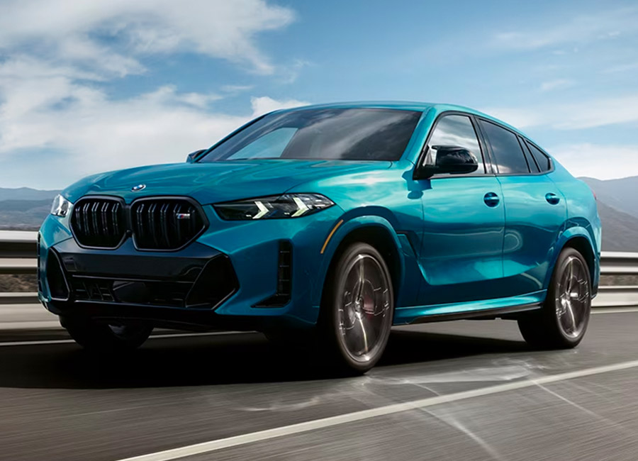 2025 BMW X6