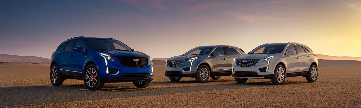 Lineup of 2025 Cadillac XT5 parked in desert