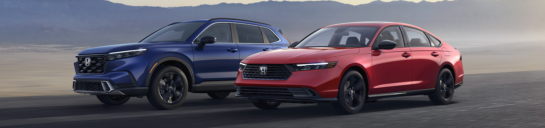 Honda Accords