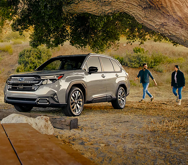 White Subaru forester parked in wilderness