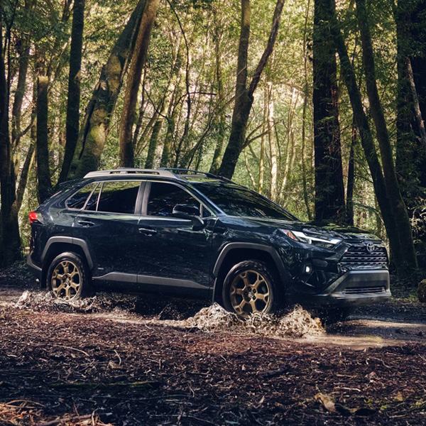 Hybrid Woodland Edition shown in Midnight Black Metallic.