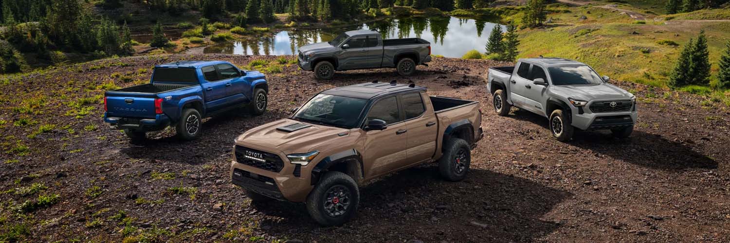 Lineup of 2025 Toyota Tacomas parked in a rural field
