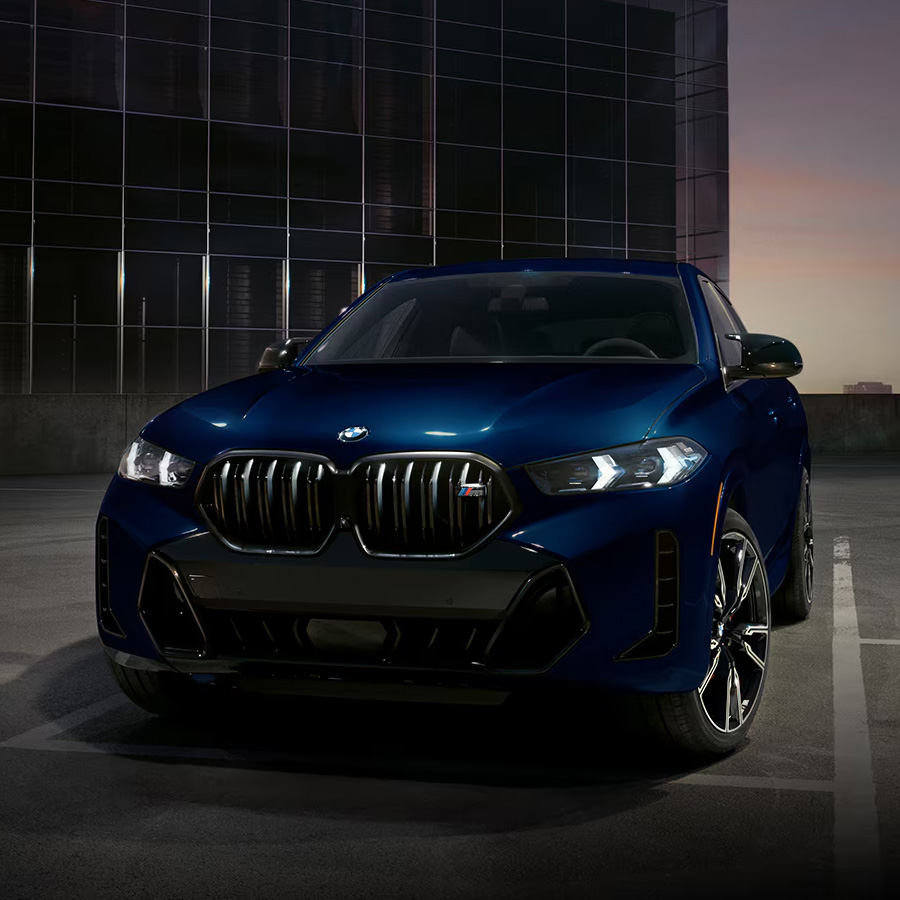 2026 BMW X6