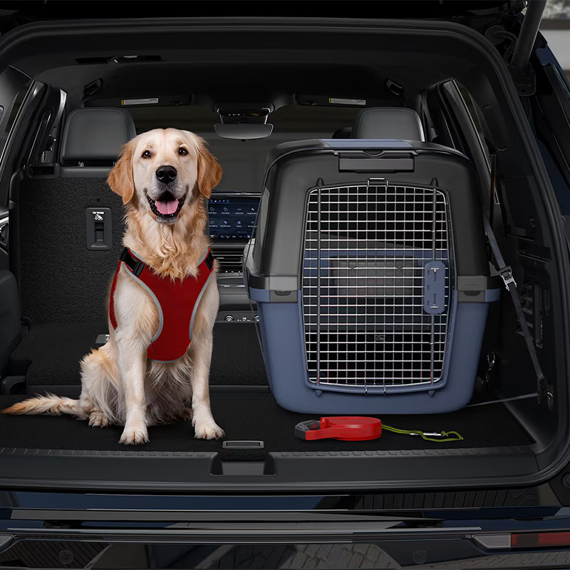 Dog in back of car