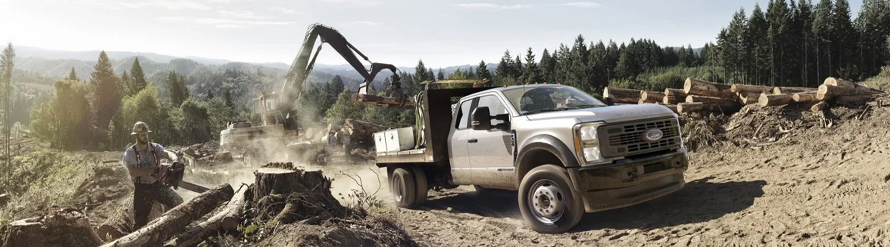 DescriptionOfImageNotJustHeading