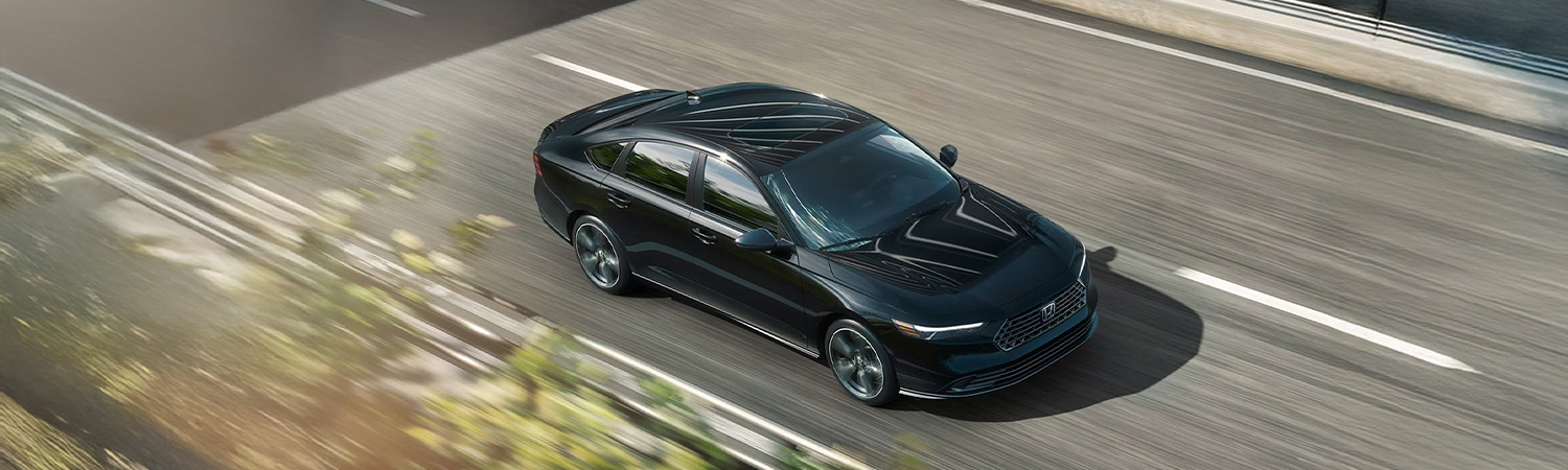 2026 Accord driving on a road