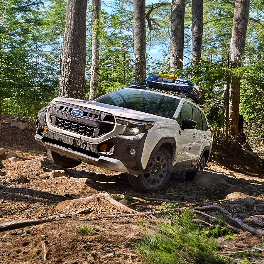 A 2026 Subaru Forester Wilderness off-road SUV with a sled storage roof-rail attachment climbs up a rugged rocky forest hill. 