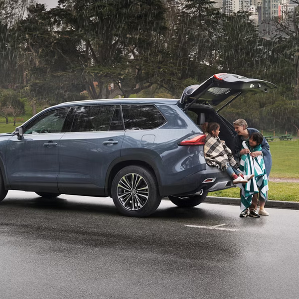 Platinum Hybrid MAX shown in Storm Cloud.