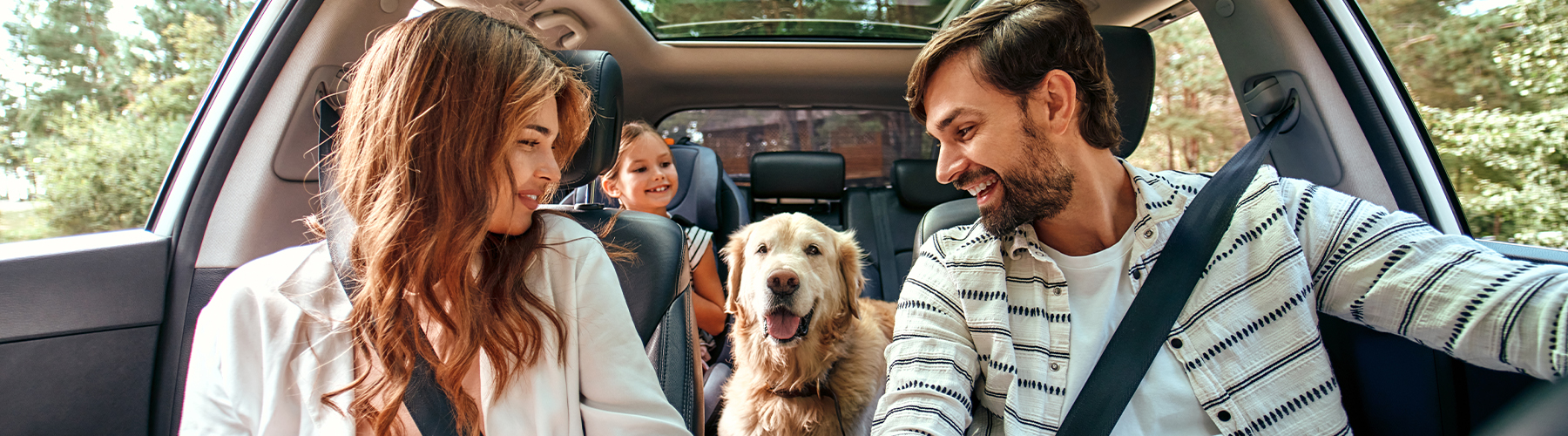 Family driving in car together
