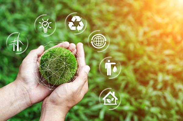 Hands protecting ball of greenery on tropical nature summer background, Ecology and Environment concept