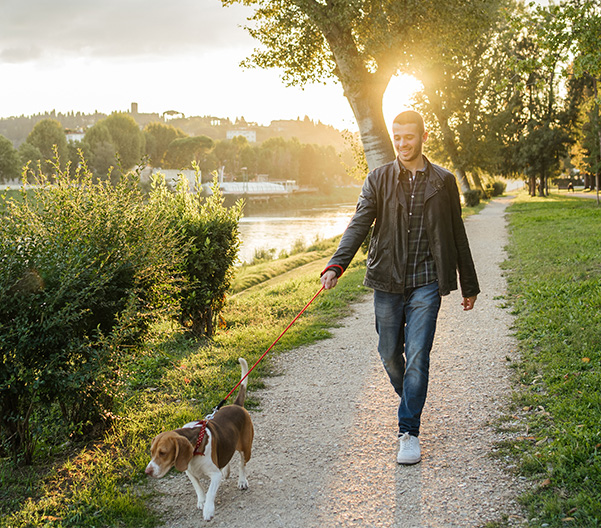 Shot of person walking dog at park
