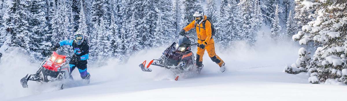 Polaris image