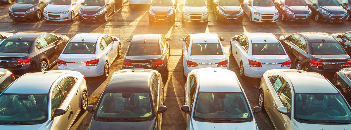 lineup of used vehicles