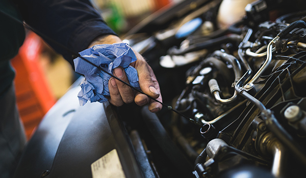 Mechanic checking oil level