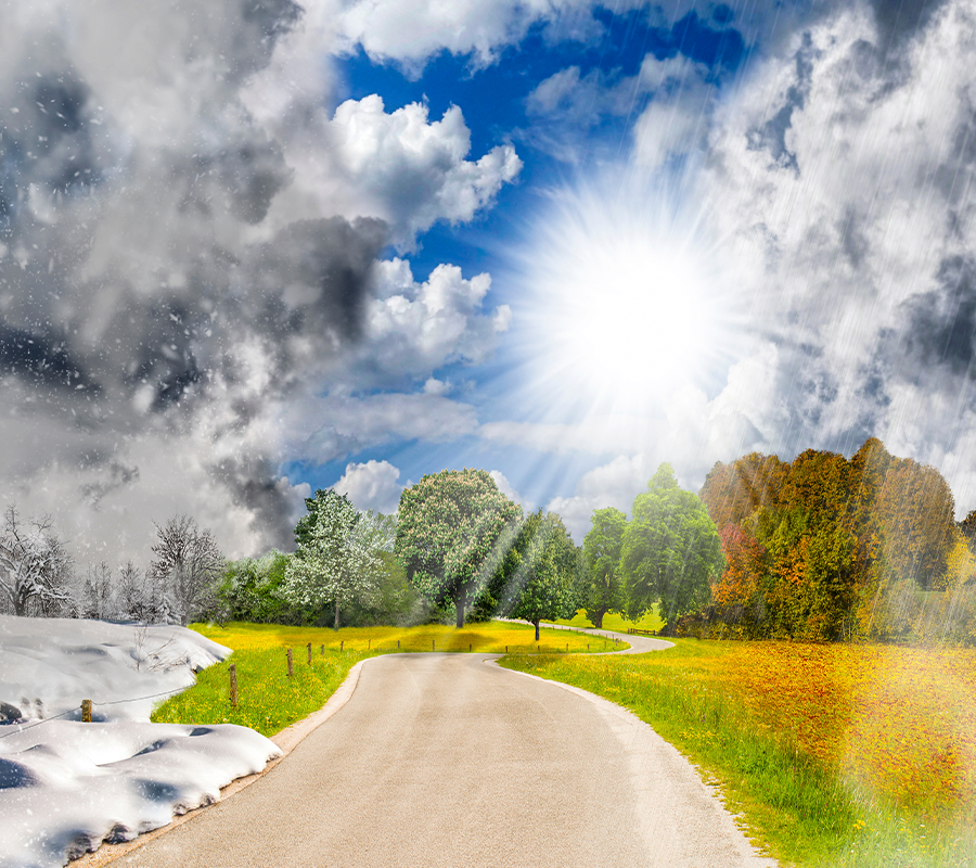 an image showing all forur seasons