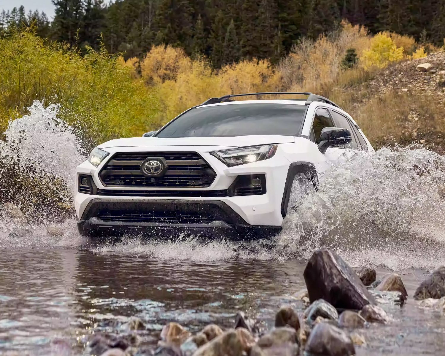 Exterior shot of toyota.