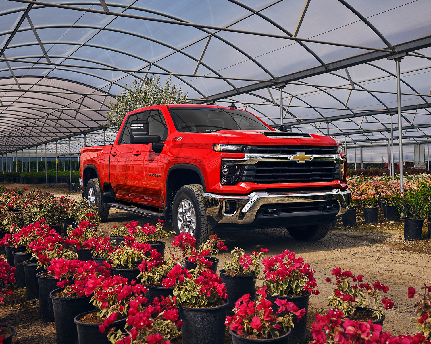 Chevy Silverado HD parked in a greenhouse surrounded by flowers