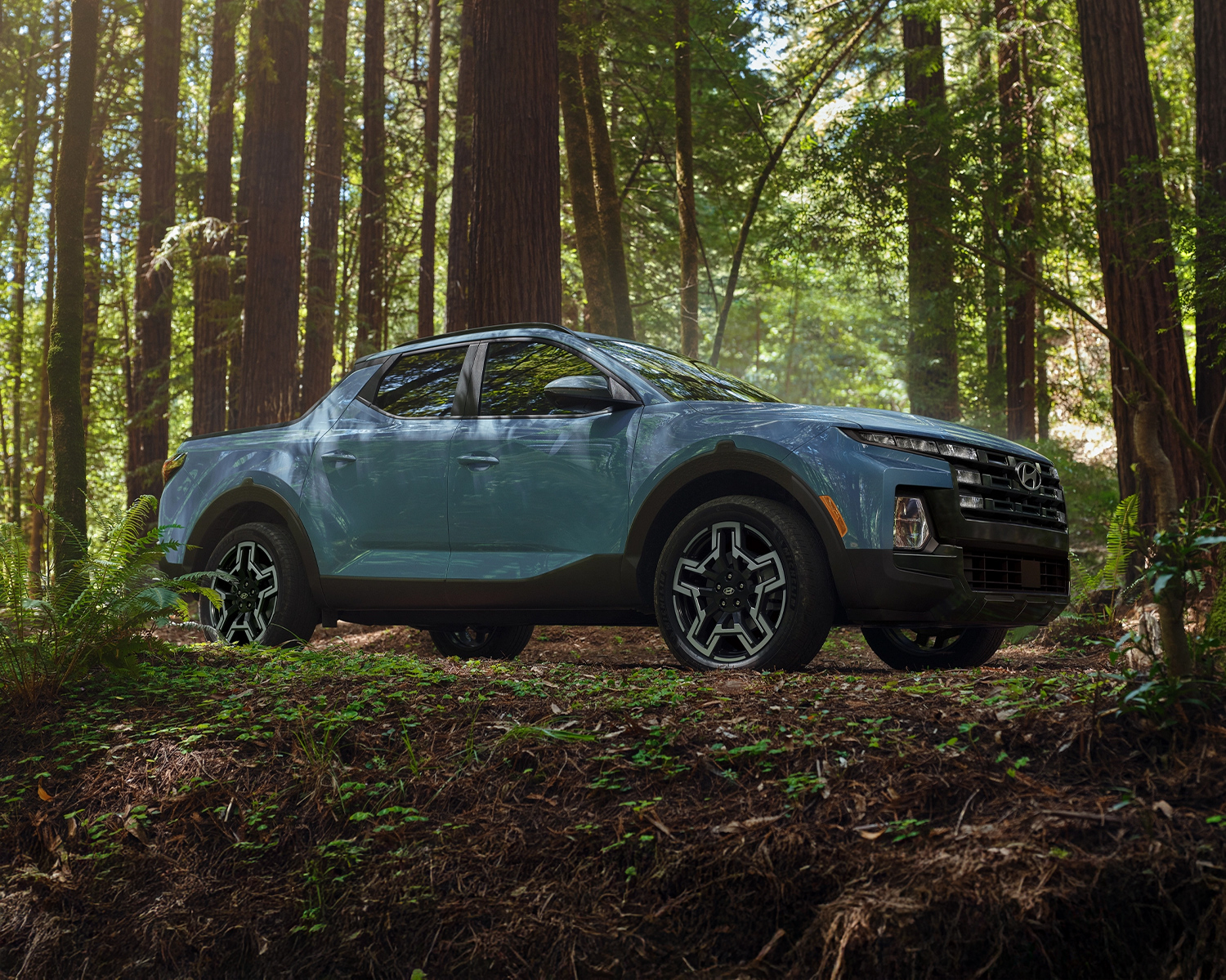 Santa Cruz parked in the woods