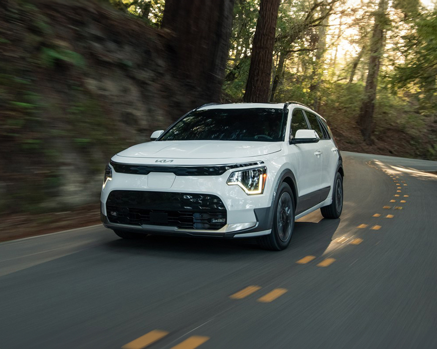 2025 Kia Niro EV