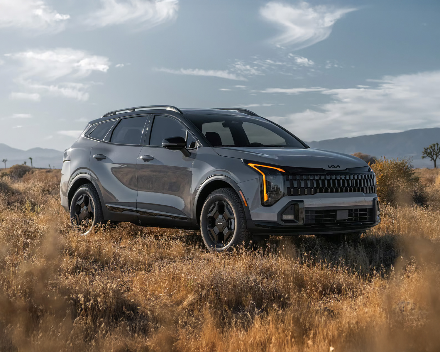 Kia Sportage parked in a field with mountains in the background