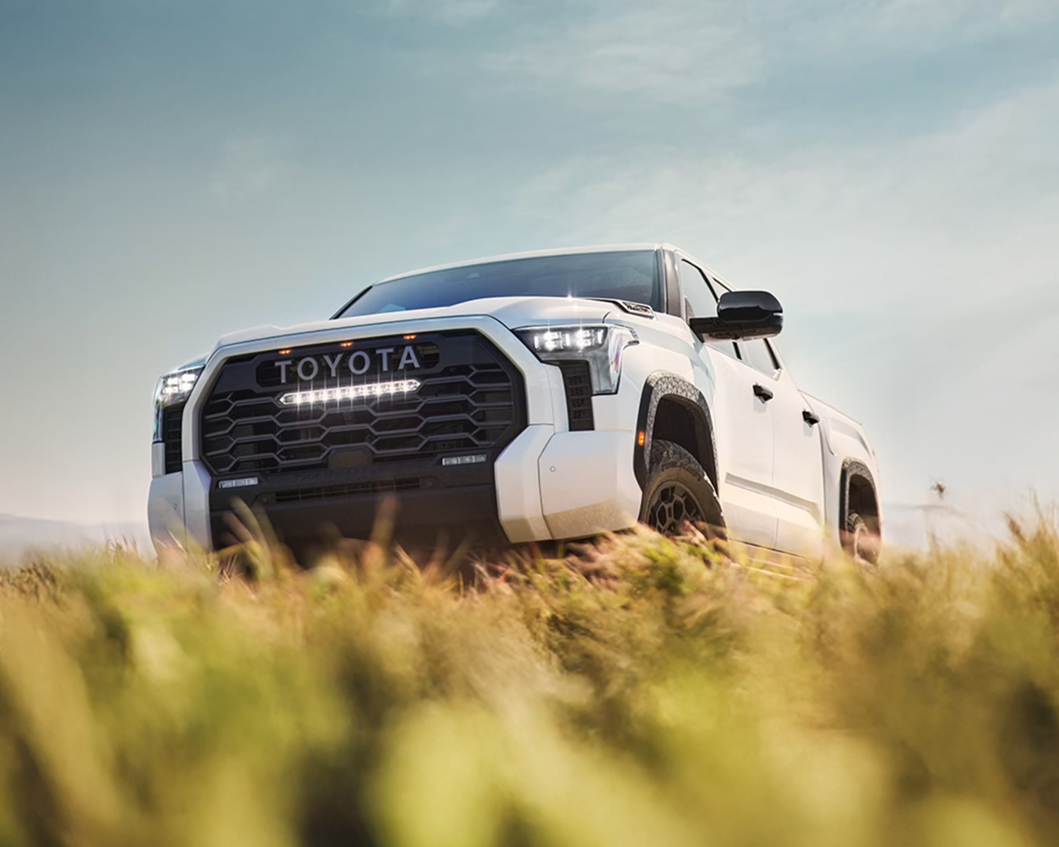 2026 tundra parked on a grassy field