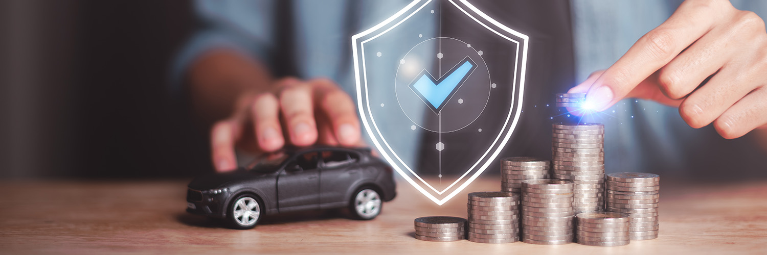 Vehicle Protection Plan Header
